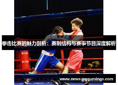 拳击比赛的魅力剖析：赛制结构与赛事节目深度解析