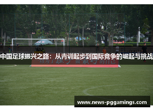 中国足球振兴之路：从青训起步到国际竞争的崛起与挑战
