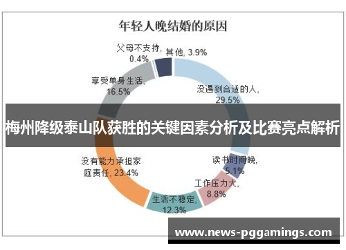 梅州降级泰山队获胜的关键因素分析及比赛亮点解析