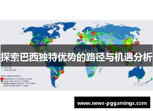 探索巴西独特优势的路径与机遇分析