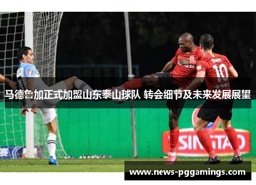 马德鲁加正式加盟山东泰山球队 转会细节及未来发展展望